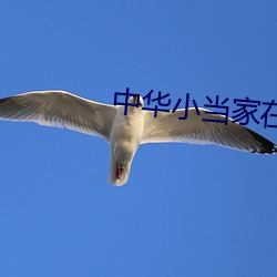 人妻少妇久久久久久97人妻:06-15-17-24-28-41G：32,关于人妻少妇的探讨与反思——一个值得深思的社会话题