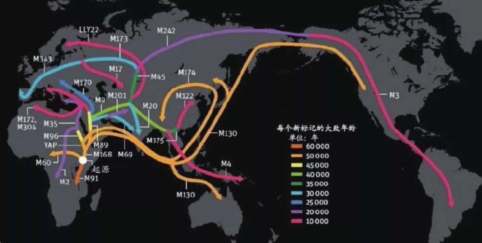 日韩欧美一区二区三区免费观看:06-11-32-37-42-43X：24,探索多元文化，日韩欧美影视的魅力与免费观看途径