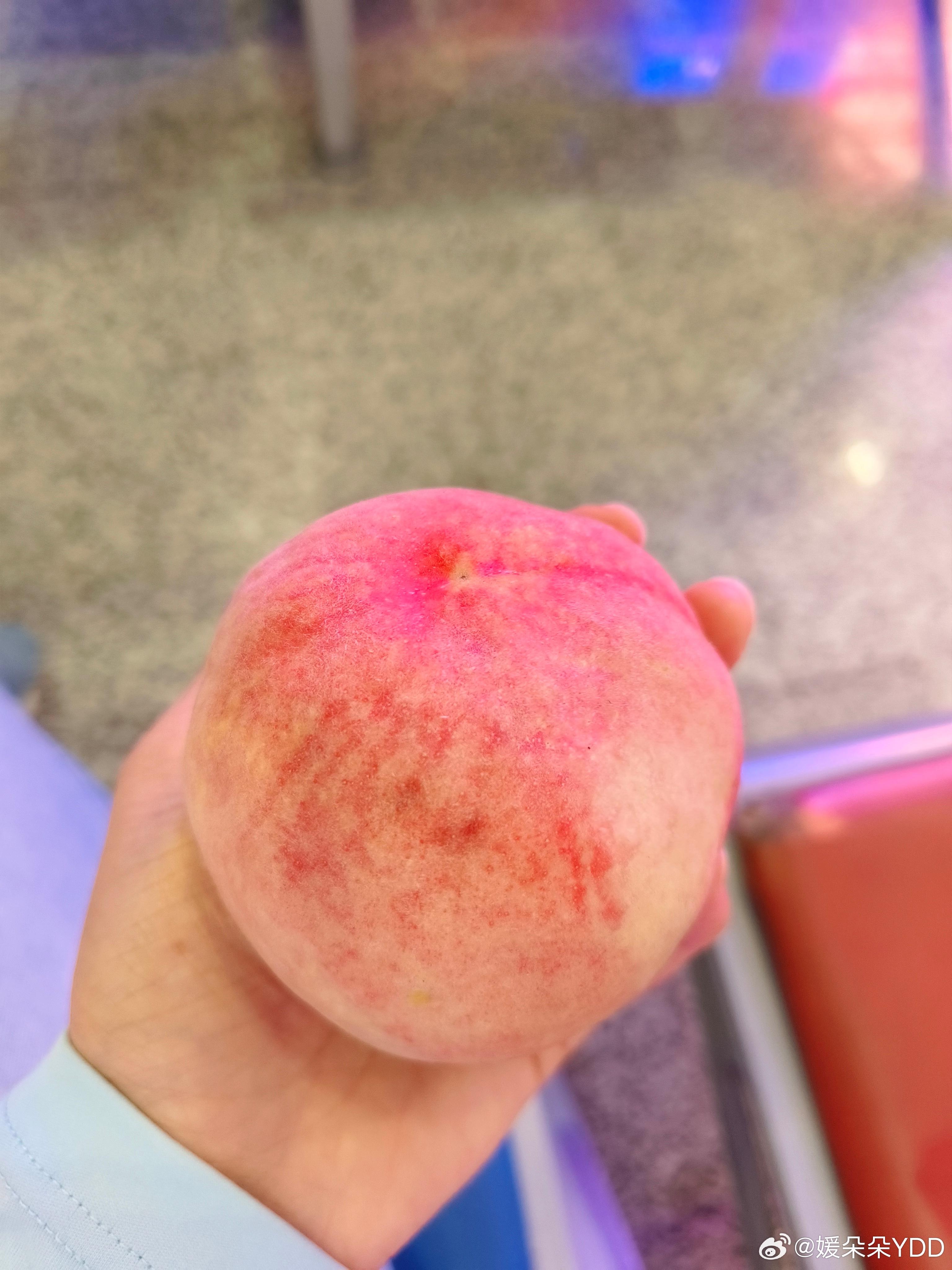 精品无码久久久久久久久水蜜桃:06-24-25-37-46-49Z：09,探索精品无码水蜜桃的世界，一场关于数字与美味的奇妙之旅