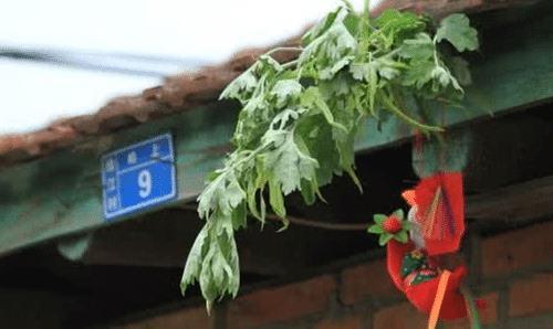 久久精品国产精品亚洲艾草网:07-17-18-35-42-44V：32,久久精品国产精品亚洲艾草网，探索优质文化与数字时代的交融
