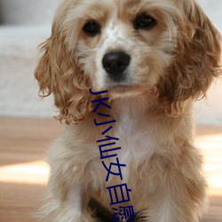 男女后式激烈动态图片:03-23-29-33-39-46T：05,男女后式激烈动态图片，深度探索与影像解读（关键词，男女后式激烈动态图片，03-23-29-33-39-46T，05）