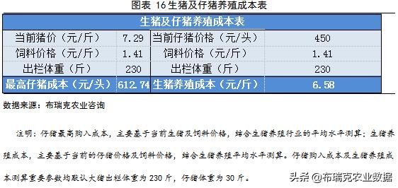 精品女同一区二区三区免费站:02-14-27-28-35-48Y：14,探索精品女同内容，一区、二区、三区的免费站点及其独特魅力