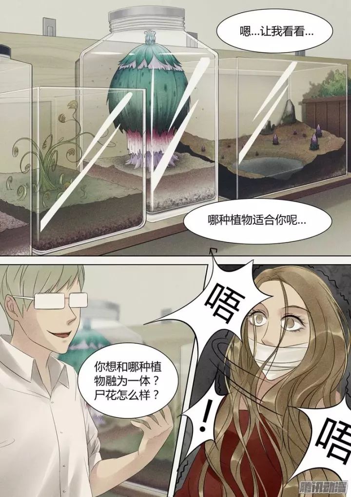 无码人妻少妇精品无码专区漫画:10-12-33-34-42-46V：21,探索无码人妻少妇精品漫画专区，深度解析其背后的文化与价值