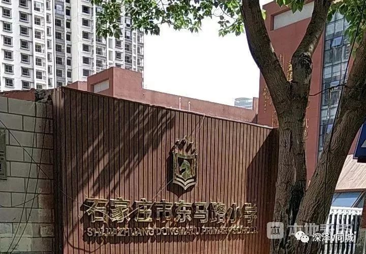 欧美变态另类刺激:中仰陵最新动态,欧美变态另类刺激，中仰陵最新动态研究
