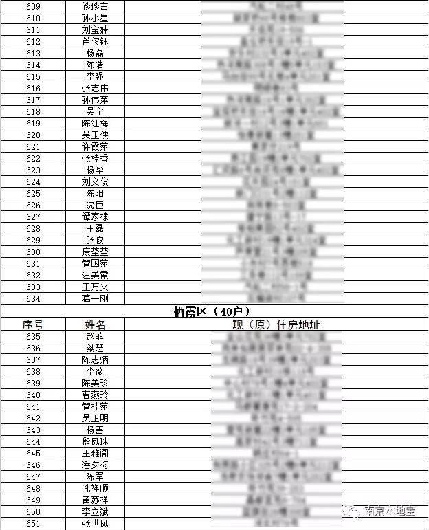 欧美xxxx做受欧美:南京公租房最新名单,欧美视角下的南京公租房最新名单，探索与观察