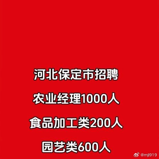 亚洲日本精品国产第一区二区:最新保定事业单位招聘,亚洲日本精品国产一区二区，最新保定事业单位招聘动态及深度解析