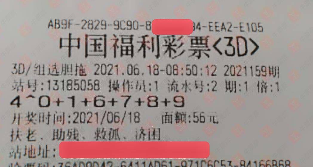 伊人成网站222综合网:3d最新动漫种子,伊人成网站222综合网，探索最新3D动漫种子的前沿领地