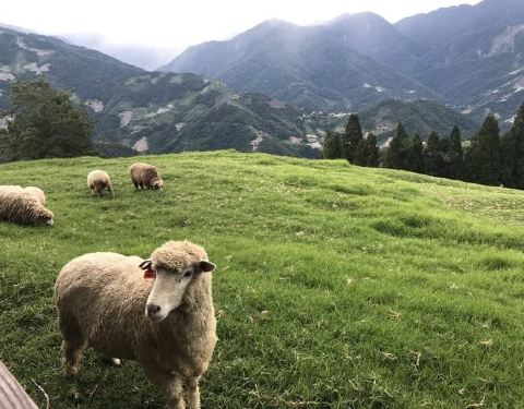亚洲高清国产AV拍精品青青草原:g7最新消息,青青草原上的高清国产AV精品与G7的最新动态