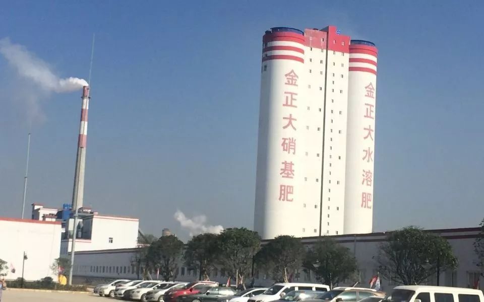 久久99精品久久久久久国产:金正大重组最新消息,久久99精品国产与金正大重组的最新消息，深度探讨与前景展望