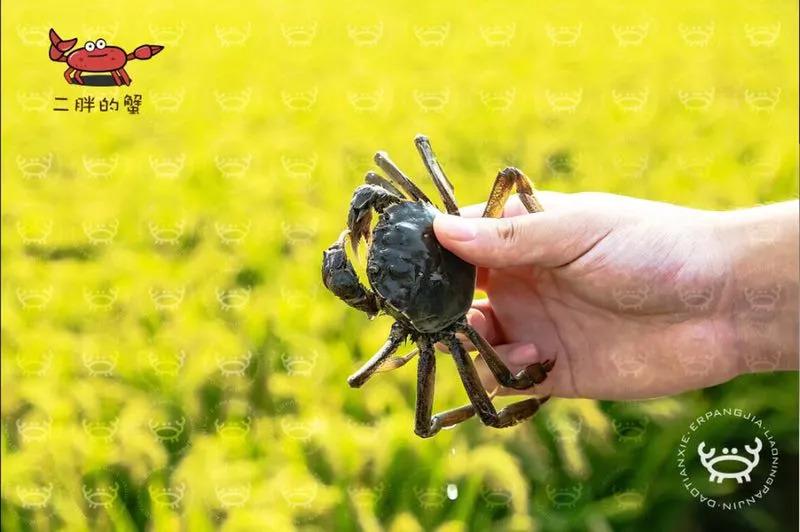 国产福利不卡免费视频在线观看:滨海新区规划最新消息,探索滨海新区规划最新动态与国产福利视频在线观看的机遇