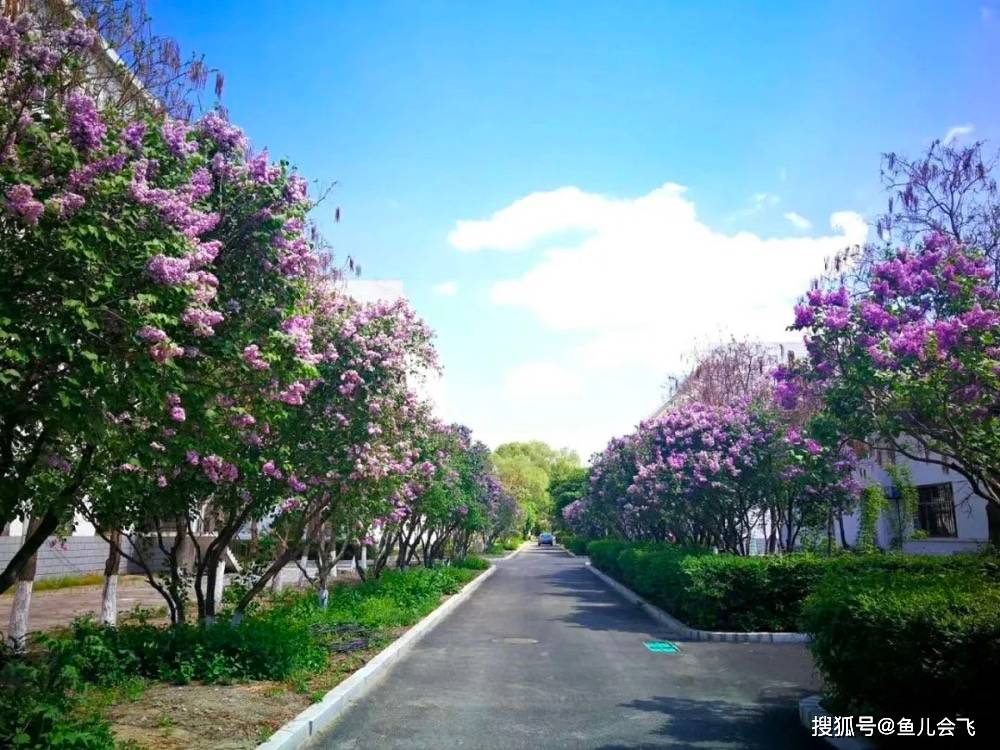又粗又大又黄又爽的免费视频:南阳七里香溪最新消息,南阳七里香溪最新消息，探寻又粗又大又黄又爽的免费视频世界