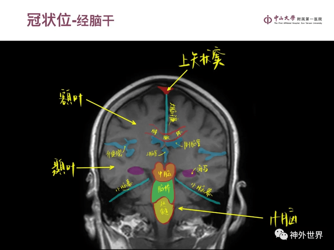 精品三级AV无码一区:最新实用产品,精品三级AV无码一区，探索最新实用产品的独特魅力