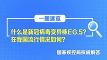 日韩一区视频精品无高清在线观:最新四级题型,日韩一区视频精品与最新四级题型的探索