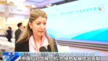 国内精品久久久久影院一蜜桃:粤海局王最新长条,国内精品影院的发展与探索，聚焦久久久久影院一蜜桃及粤海局王最新长条