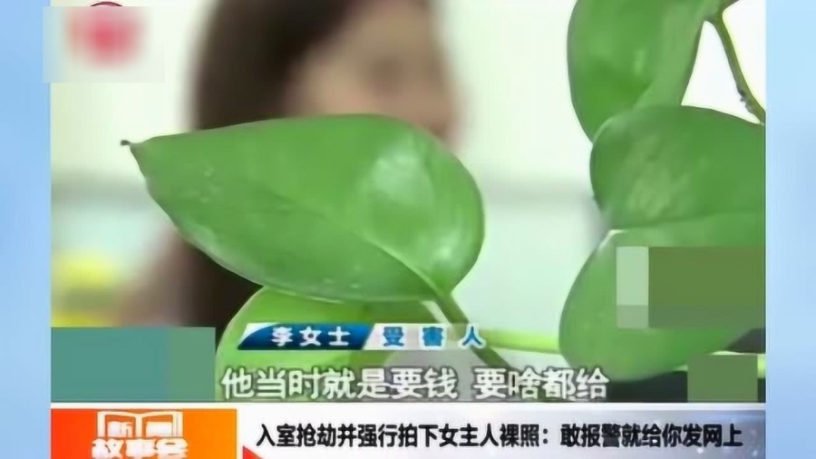 成年男人裸J照无遮挡无码:云南蚕豆价格最新行情,成年男人裸照无遮挡无码背后的道德伦理与云南蚕豆价格最新行情探讨