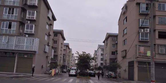 精品一区二区三区免费视频:政才最新消息,精品一区二区三区免费视频，探索最新政才消息