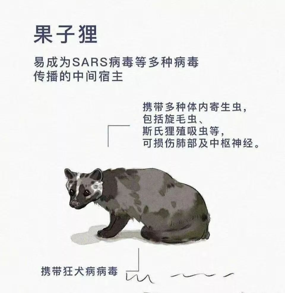 688欧美人禽杂交狂配:最新流感病毒吃什么药,关于所谓688欧美人禽杂交狂配与最新流感病毒应对药物的探讨
