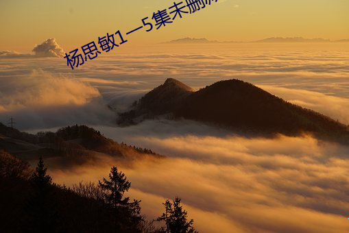 A级毛片无码免费真人久久:辽阳忠旺集团最新招聘,辽阳忠旺集团最新招聘，A级毛片无码免费真人久久——探寻真实职业机会与优质娱乐资源