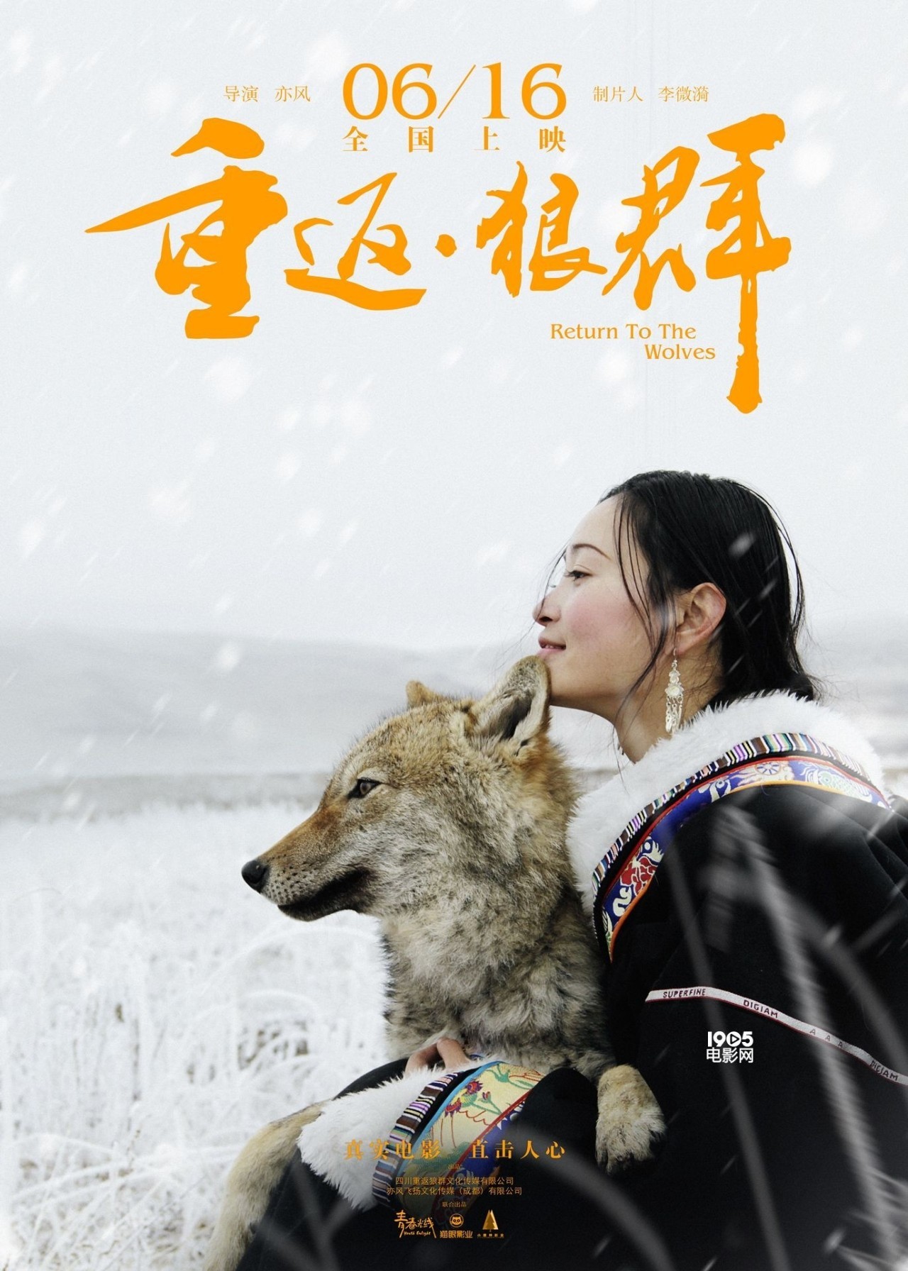 野狼AV午夜福利在线:369出行最新版,探索野狼AV午夜福利在线与369出行最新版，数字时代的娱乐与出行革新