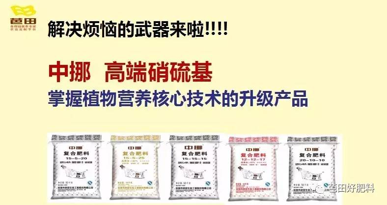 精品无码国产一区二区三区AV:阜阳人才网最新招聘信息,精品无码国产一区二区三区AV与阜阳人才网最新招聘信息的交融