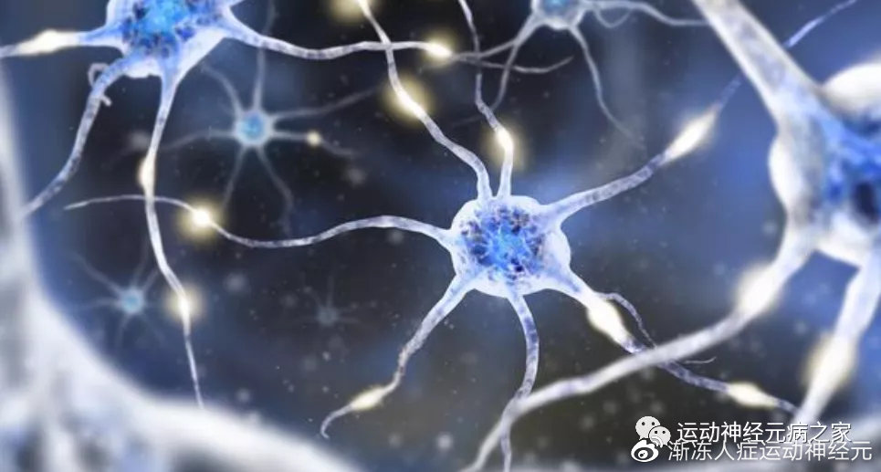 怡春院性无码免费视频:运动神经元最新疗法,怡春院性无码免费视频与运动神经元最新疗法研究概述