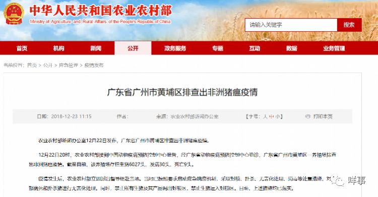 免费不卡在线观看av:今年猪瘟疫情最新消息,免费不卡在线观看AV与今年猪瘟疫情最新消息