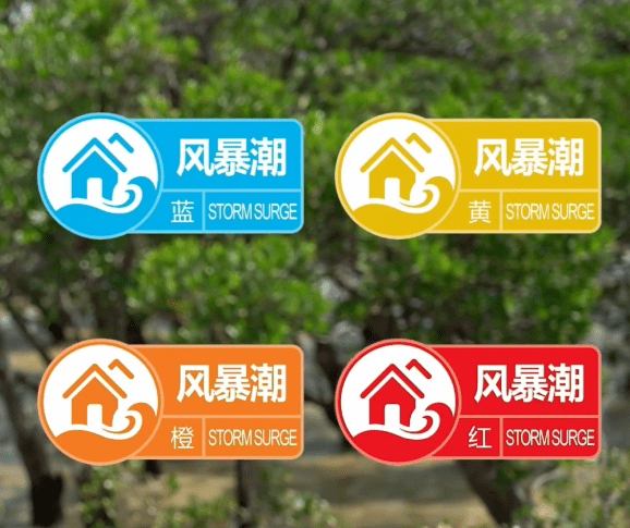 午夜福利视频:祝塘二手房最新消息,午夜福利视频与祝塘二手房最新消息，深度探讨与全面解析