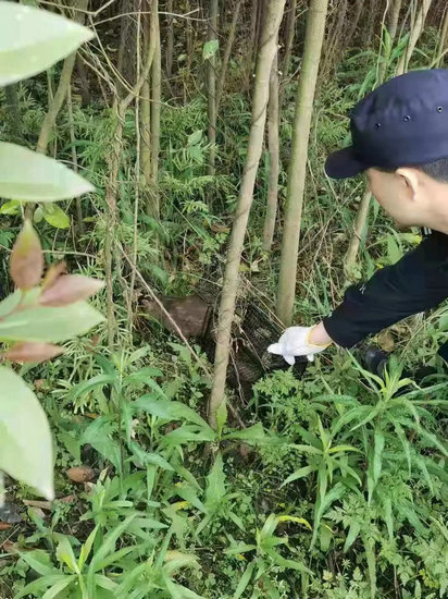 午夜福利视频:祝塘二手房最新消息,午夜福利视频与祝塘二手房最新消息，深度探讨与全面解析