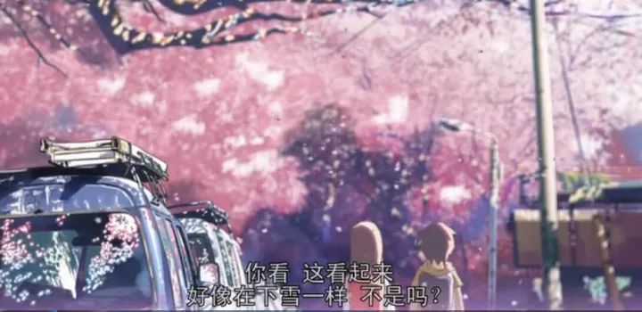 久久亚洲色WWW成人欧美 :樱花妖最新,久久亚洲色与樱花妖，欧美成人文化的最新交融