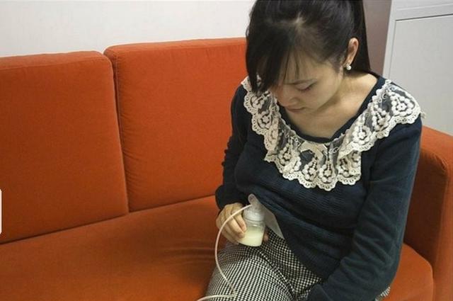 成人无码AV片在线观看蜜芽:最新养猪视频,关于成人无码AV片在线观看与最新养猪视频的探讨