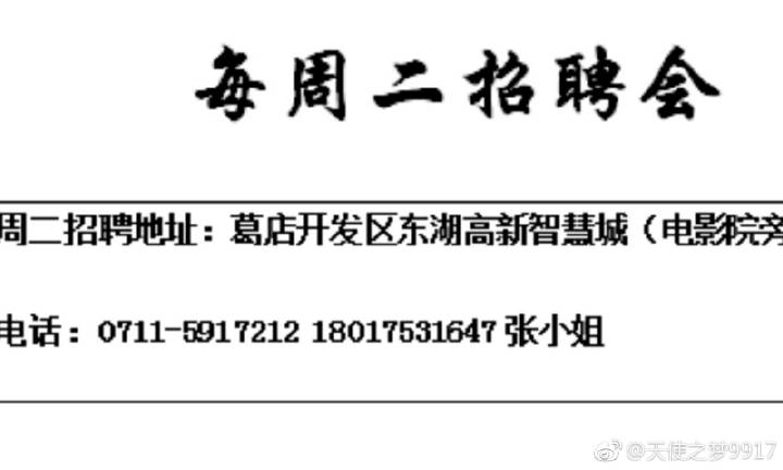 国产在线观看精品一区二区三区:东丽区最新招聘,国产在线观看精品一区二区三区，东丽区最新招聘动态及其影响