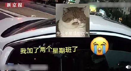 成年女性特黄午夜视频免费看:最新途锐图片,关于成年女性特黄午夜视频与最新途锐图片的探索与讨论
