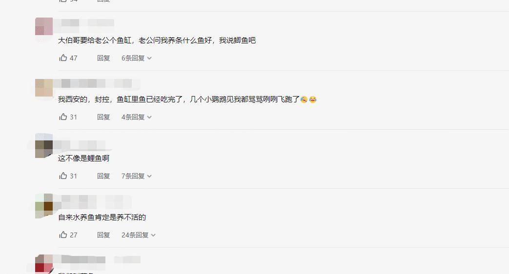 文中字幕一区二区三区视频播放:武功最新天气,武功最新天气及视频播放中的字幕分区介绍