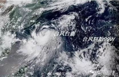 久久精品九九热无码免贵:珠海台风最新视频,珠海台风最新视频，久久精品展现无畏精神，九九热无码免贵共享实时资讯