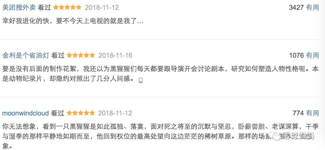 免费特级毛片:食菜网最新,免费特级毛片，食菜网最新资源探索