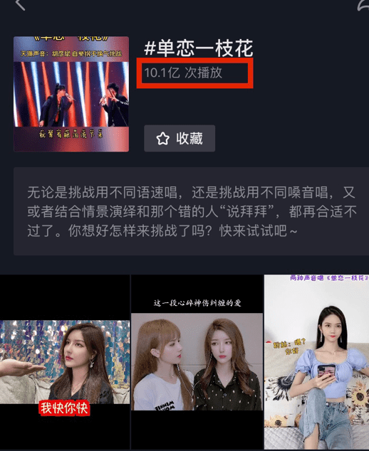 亚洲精品无码永久在线观看:乐聊最新版,亚洲精品无码永久在线观看，乐聊最新版的探索与体验