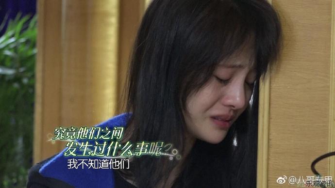 又大又粗又爽A级毛片免费看:02-14-19-34-37-43Q：44,探索成人娱乐新境界，免费观看A级毛片的真实体验