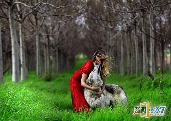 欧美人与动牲猛交A欧美精品:01-06-07-09-16-29A：43,欧美人与动物，探索人与动物和谐共生的奥秘（欧美精品系列）