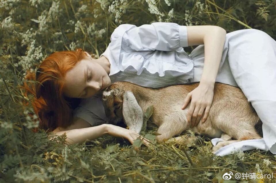 欧美人与动牲猛交A欧美精品:01-06-07-09-16-29A：43,欧美人与动物，探索人与动物和谐共生的奥秘（欧美精品系列）