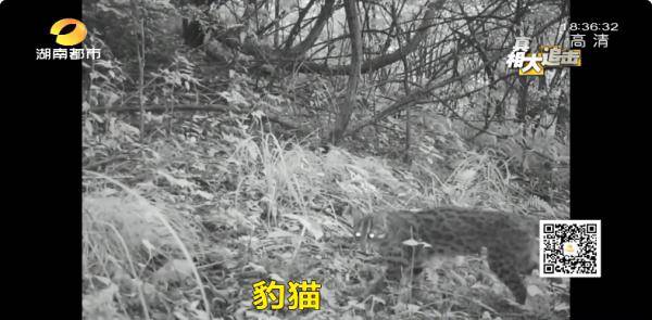 亚洲精品国偷自产在线99正片:05-18-23-34-42-46K：02,亚洲精品国，本土生产与创新力量的展现
