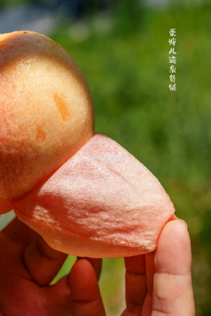 久久精品久久久久观看99水蜜桃:10-21-28-36-40-46W：15,久久精品，探索蜜桃世界的独特魅力与无限可能