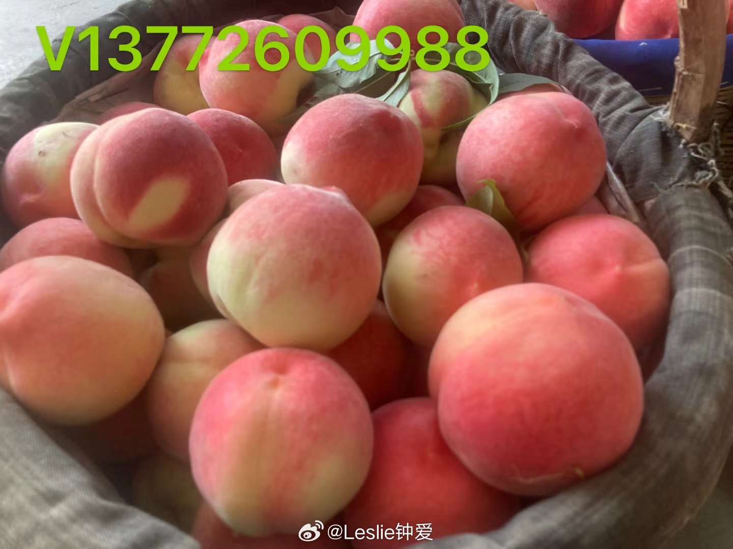 久久精品久久久久观看99水蜜桃:10-21-28-36-40-46W：15,久久精品，探索蜜桃世界的独特魅力与无限可能