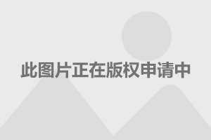 欧产日产国产精品精品:10-13-24-25-29-45B：42,欧产日产国产精品精品，品质与技术的完美结合