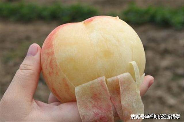 精品无码一区二区三区水蜜桃:08-13-33-39-45-48M：40,探索精品无码水蜜桃的世界，一区、二区、三区的独特魅力