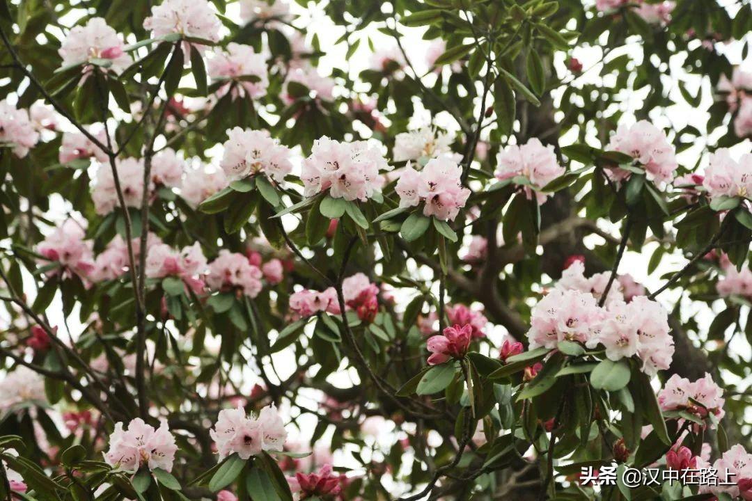 亚洲五月天综合:09-15-20-24-25-49T：10,亚洲五月天，一场跨越时空的音乐盛宴（综合，09-15-20-24-25-49T，10）