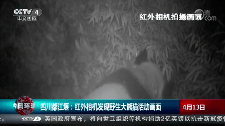 国产A级毛片久久久精品毛片:18-20-22-30-41-49T：42,国产A级毛片久久久精品毛片的探索与赏析