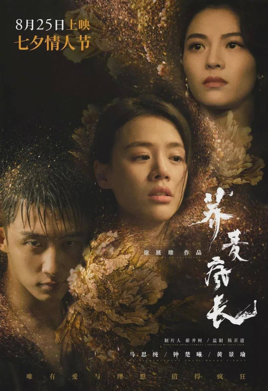 国产精品久久久久影院亚瑟妓:17-20-24-30-32-49G：46,国产影视的繁荣，亚瑟妓与精品久映的探讨